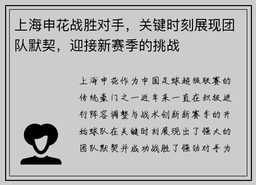 上海申花战胜对手，关键时刻展现团队默契，迎接新赛季的挑战