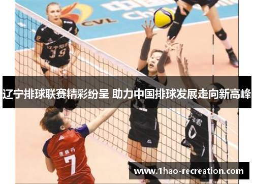 辽宁排球联赛精彩纷呈 助力中国排球发展走向新高峰