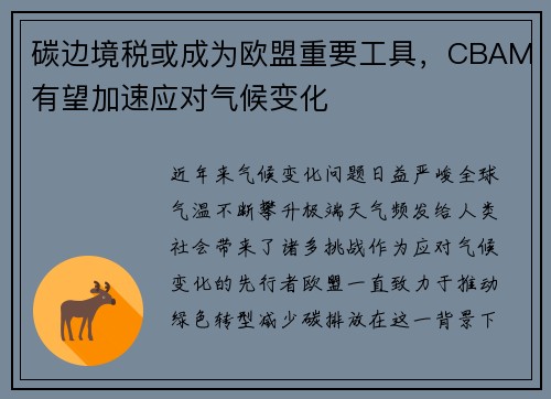 碳边境税或成为欧盟重要工具，CBAM有望加速应对气候变化